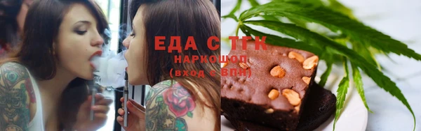 индика Козельск