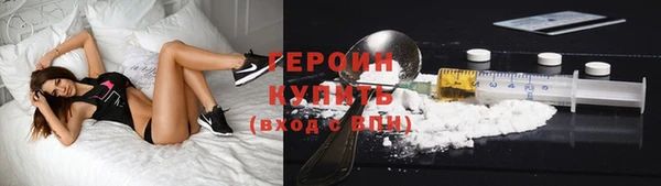 индика Козельск