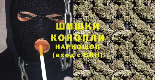 винт Новозыбков