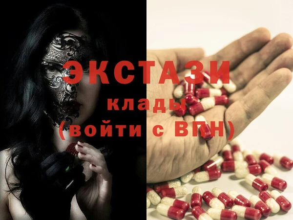 индика Козельск