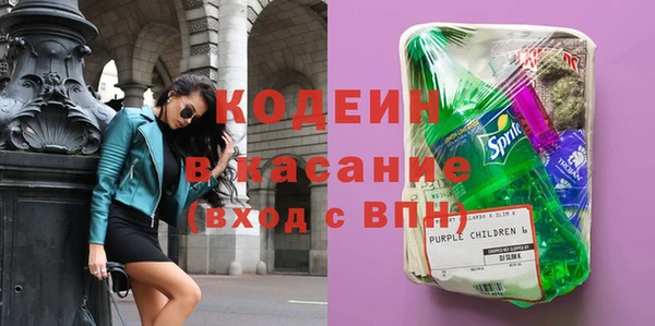 индика Козельск