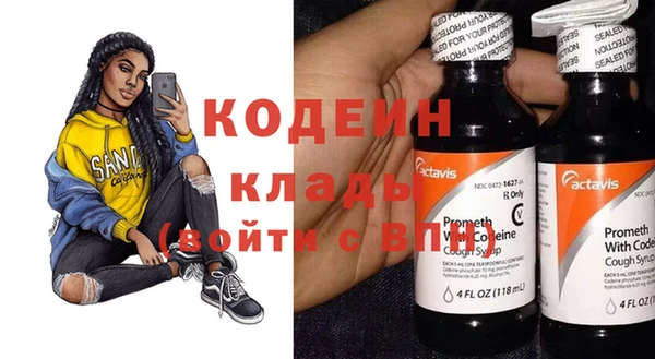 индика Козельск