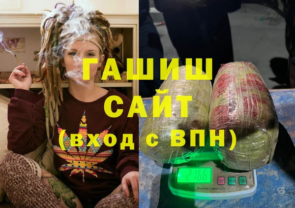 индика Козельск