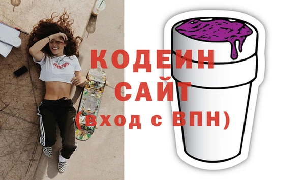 индика Козельск