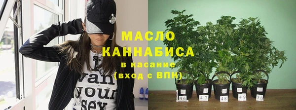 сатива Кодинск