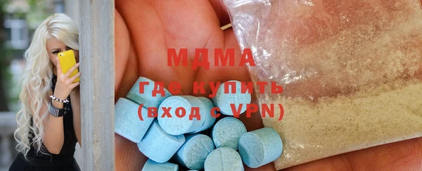 индика Козельск