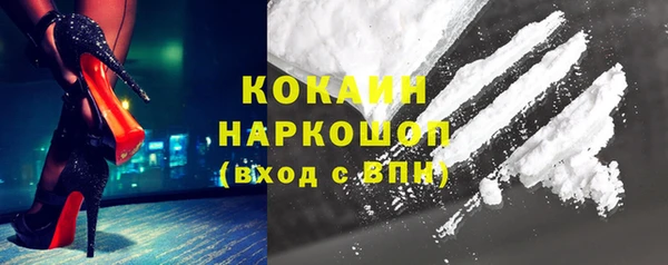 сатива Кодинск