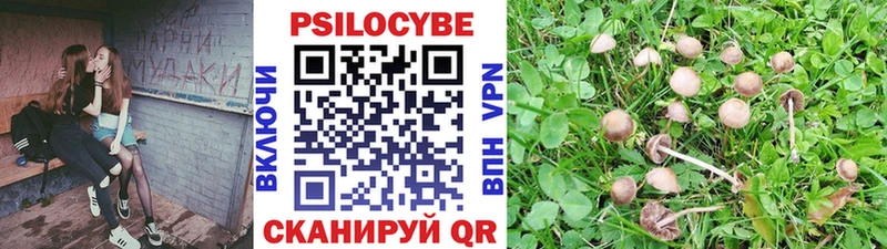 продажа наркотиков  Подольск  Псилоцибиновые грибы прущие грибы 