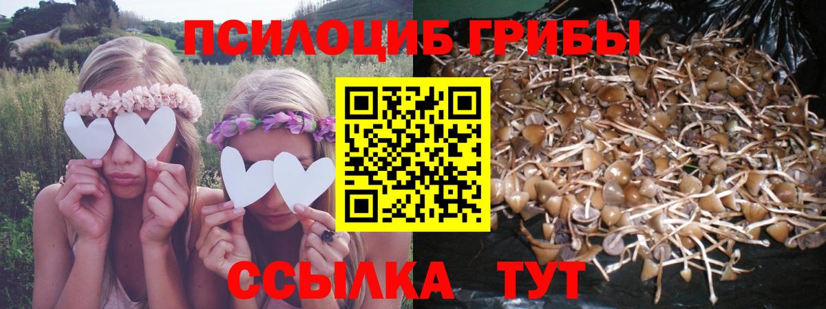 Подольск  Псилоцибиновые грибы мицелий  Галлюциногенные грибы мицелий  Вход с VPN 