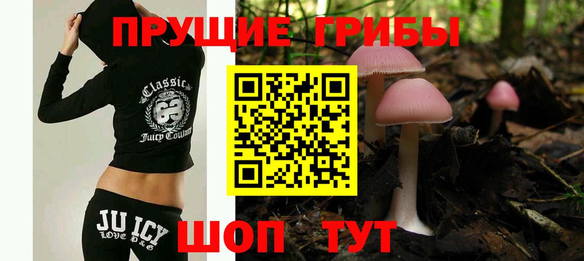 Галлюциногенные грибы GOLDEN TEACHER Подольск